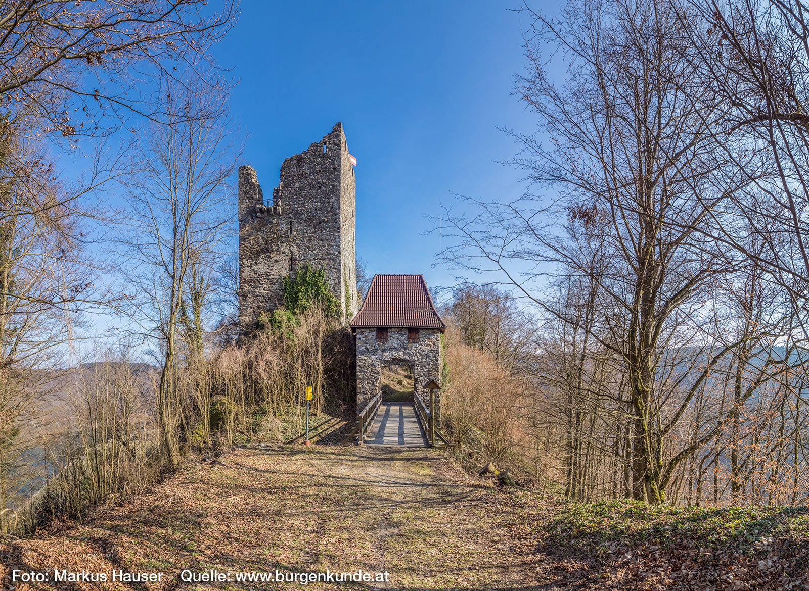 Gesamtansicht der Ruine Haichenbach