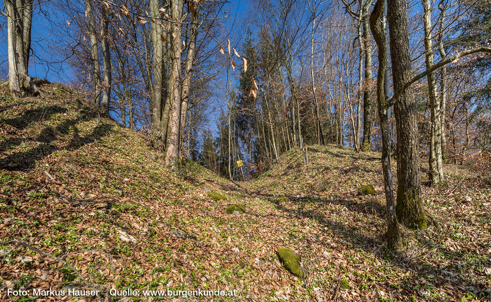 Am südlichsten Ende der Vorburg trennt ein verflachter Graben das Burgareal vom ins Donautal abfallenden Felsgrat.