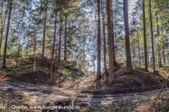 Graben am Höhenrücken vor der Ruine Haichenbach