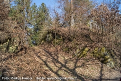 Graben am Höhenrücken vor der Ruine Haichenbach