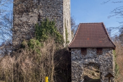 Gesamtansicht der Ruine Haichenbach