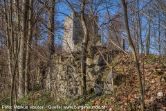 Am deutlichsten kann man die Ringmauer am äußersten Ende der spitz zulaufenden Vorburg sehen.