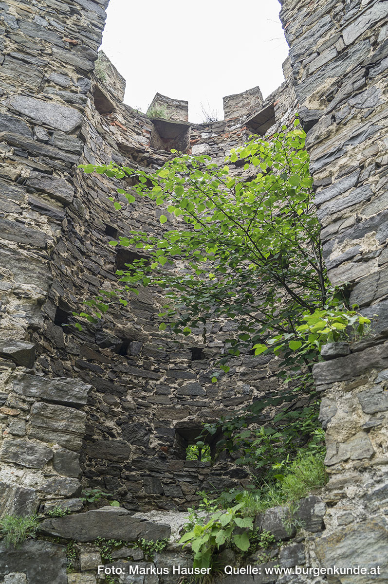Der Rundturm an der Bergseite der Ruine Hinterhaus. Zum Innenhof hin völlig offen und zinnengekrönt.
