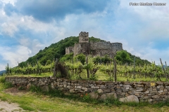 Auf einem zur Donau hin abfallenden Ausläufer des Jauerlingmassivs, genannt Hausberg, liegt inmitten von Weinbergen die Ruine Hinterhaus.