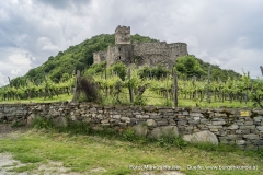 Auf einem zur Donau hin abfallenden Ausläufer des Jauerlingmassivs, genannt Hausberg, liegt inmitten von Weinbergen die Ruine Hinterhaus.