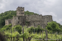 Hinter der Ruine Hinterhaus das Jauerlingmassiv.