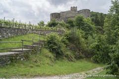 Die Ruine Hinterhaus ist durch gepflegte Wege erschlossen.