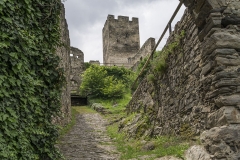 Blick durch das Tor im bastionsartig angelegten Vorwerk der Nordostseite zum Bergfried der Ruine Hinterhaus.