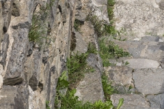 Das Fundament des Turmes springt im Bereich des Innenhofes gegenüber dem aufgehenden Mauerwerk schräg hervor.