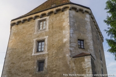 Schloss Pragstein wurde einst auf einer kleinen Felseninsel in der Donau erbaut. Dies war auch der Grund für die kielartige Zuspitzung.