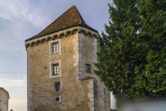 Schloss Pragstein wurde einst auf einer kleinen Felseninsel in der Donau erbaut. Dies war auch der Grund für die kielartige Zuspitzung.