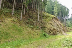 Schlossruine-Reichenfels-Wolfsberg-Kaernten-02