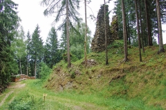 Schlossruine-Reichenfels-Wolfsberg-Kaernten-03