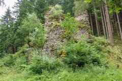 Schlossruine-Reichenfels-Wolfsberg-Kaernten-07