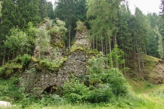 Schlossruine-Reichenfels-Wolfsberg-Kaernten-09