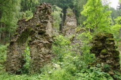 Schlossruine-Reichenfels-Wolfsberg-Kaernten-11