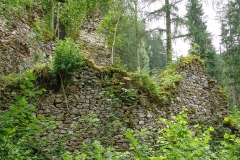 Schlossruine-Reichenfels-Wolfsberg-Kaernten-13