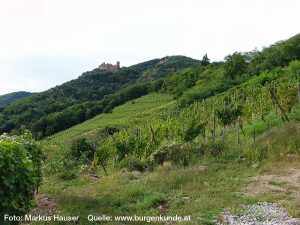 Burg Girsberg im Elsass