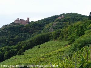 Burg Girsberg im Elsass