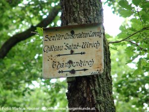Burg Girsberg im Elsass