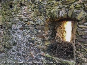 Ruine Haichenbach - Kerschbaumer-Schloessl