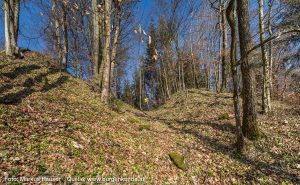 Ruine Haichenbach - Kerschbaumer-Schloessl