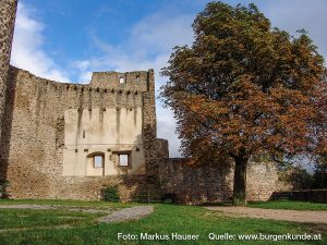 Burg Kaysersberg im Elsass