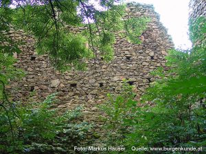 Burg Kaysersberg im Elsass