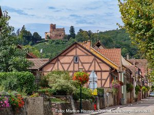 Burg Kintzheim mit der Greifvogelwarte im Elsass