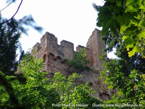 Burg Kintzheim mit der Greifvogelwarte im Elsass
