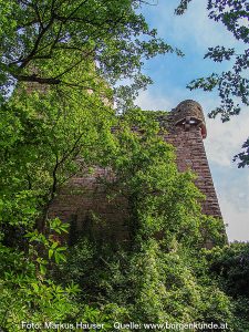 Burg Kintzheim mit der Greifvogelwarte im Elsass