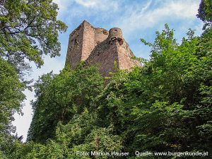 Burg Kintzheim mit der Greifvogelwarte im Elsass