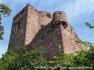 Burg Kintzheim mit der Greifvogelwarte im Elsass