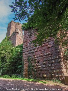 Burg Kintzheim mit der Greifvogelwarte im Elsass