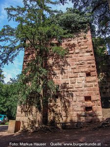 Burg Kintzheim mit der Greifvogelwarte im Elsass