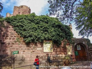 Burg Kintzheim mit der Greifvogelwarte im Elsass