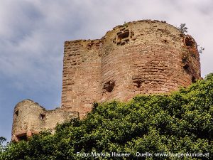 Burg Kintzheim mit der Greifvogelwarte im Elsass