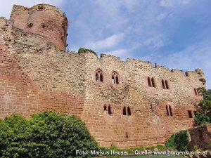 Burg Kintzheim mit der Greifvogelwarte im Elsass