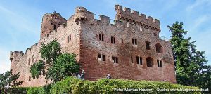Burg Kintzheim mit der Greifvogelwarte im Elsass