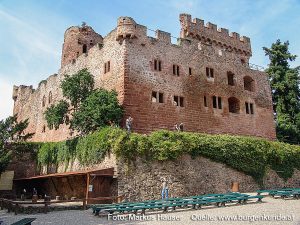 Burg Kintzheim mit der Greifvogelwarte im Elsass