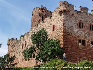 Burg Kintzheim mit der Greifvogelwarte im Elsass