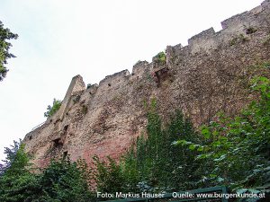 Burg Kintzheim mit der Greifvogelwarte im Elsass