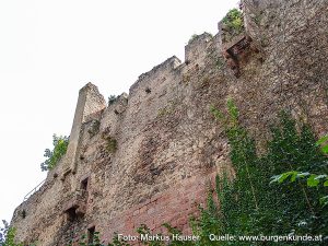 Burg Kintzheim mit der Greifvogelwarte im Elsass