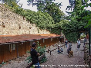 Burg Kintzheim mit der Greifvogelwarte im Elsass