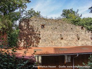 Burg Kintzheim mit der Greifvogelwarte im Elsass