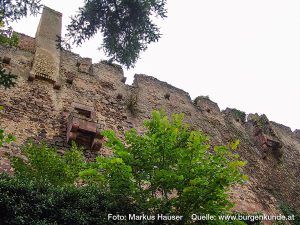 Burg Kintzheim mit der Greifvogelwarte im Elsass