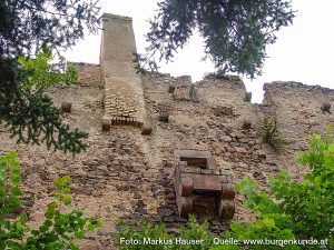 Burg Kintzheim mit der Greifvogelwarte im Elsass