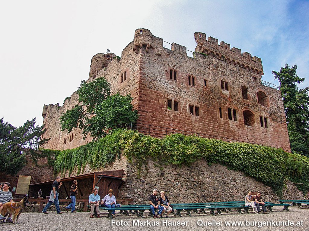 Burg Kintzheim mit der Greifvogelwarte im Elsass