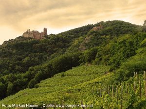 Burg Sankt Ulrich im Elsass
