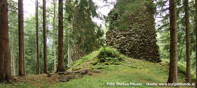 Schlossruine Reichenfels im Bezirk Wolfsberg (Kärnten)